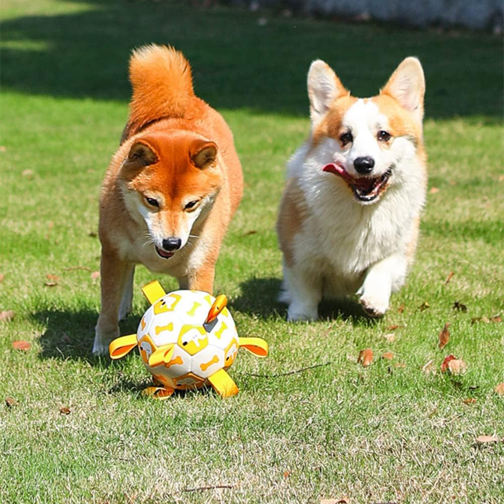 PawSoccer hondenspeelgoed - De voetbal voor honden