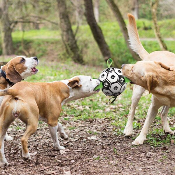 PawSoccer hondenspeelgoed - De voetbal voor honden