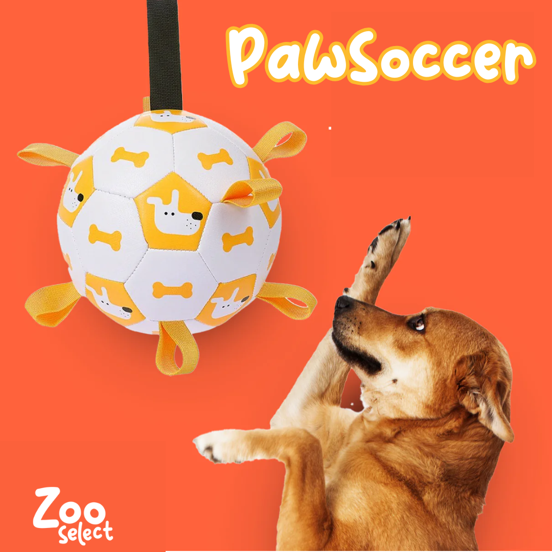 PawSoccer hondenspeelgoed - De voetbal voor honden